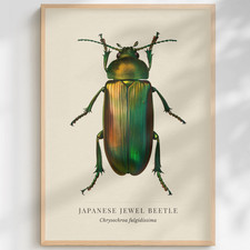 Japanese Jewel Beetle Natural History Print | Vintage Entomology Wall Art