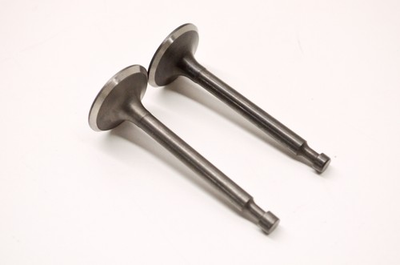 #ad Water Cannon 42.0271 Intake Exhaust Valve Kit NOS $7.64