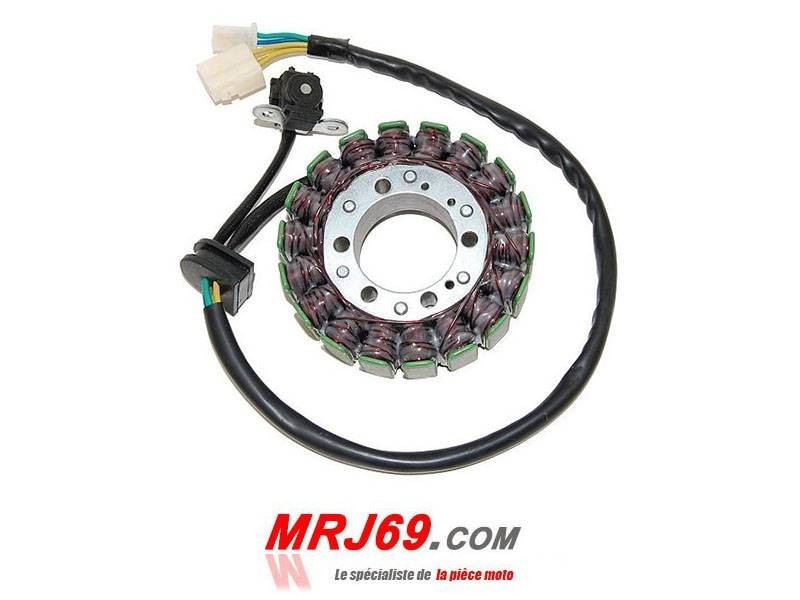 Stator alternateur ElectroSport Suzuki B-King : fin des coupures de batterie 2008-2009