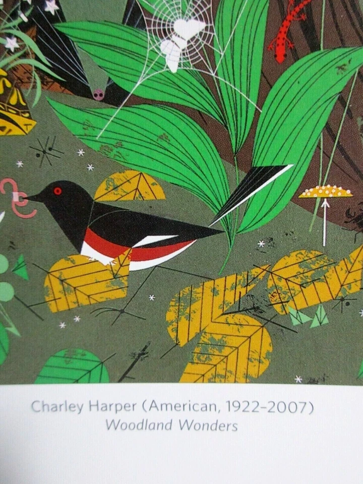 Rompecabezas de 1000 piezas Charley Harper-Woodland Wonders pieza de arte de granada Foto 2 de 2