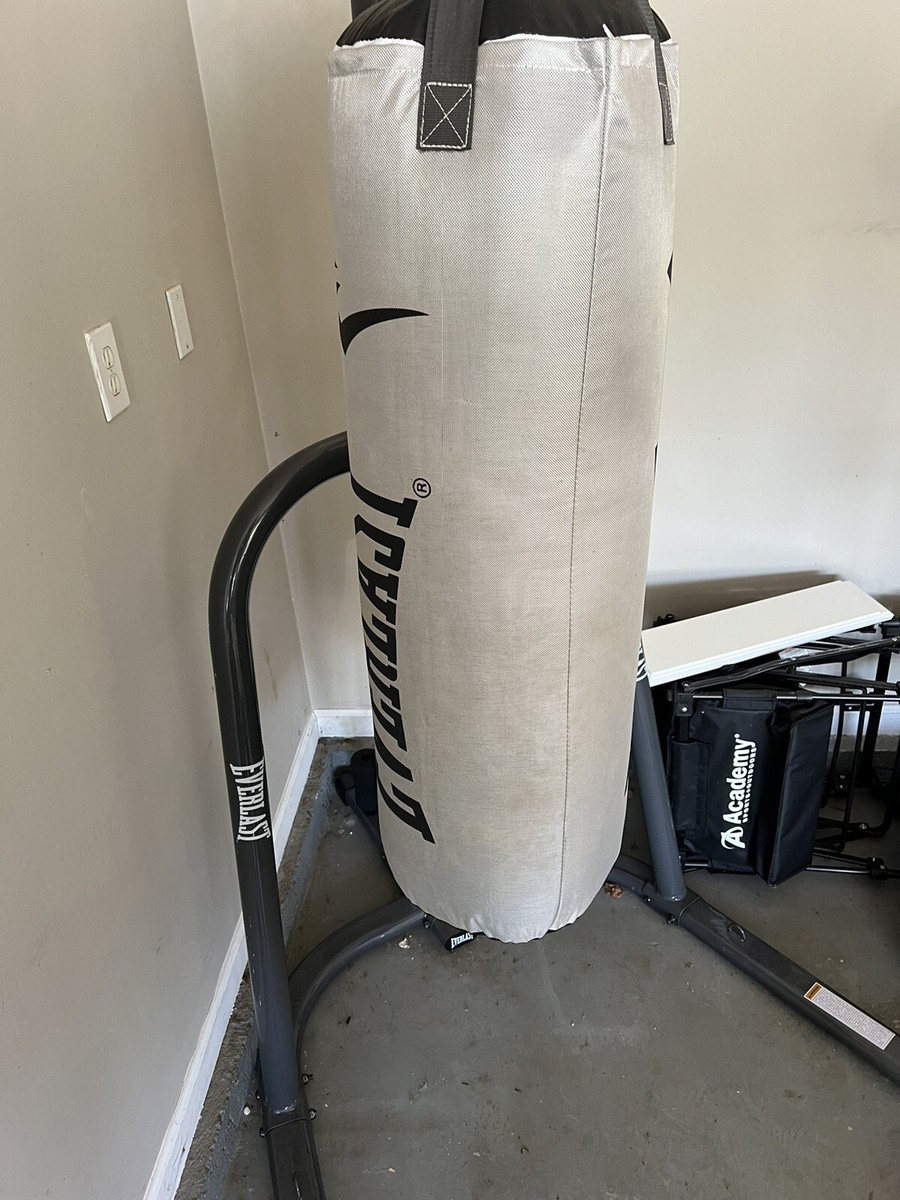 Everlast P00001418 80lbs. Heavy Bag - Platinum | eBay