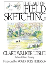 Field Sketching