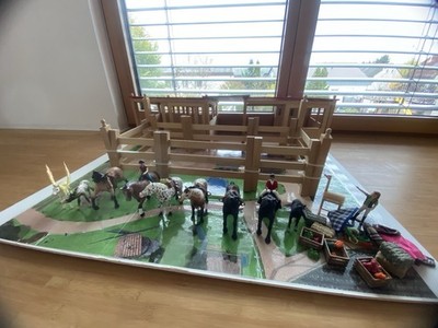 Schleich Ponyhof inkl. Waschstation und Zubehör