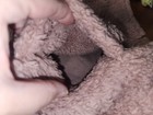 Bild 5 von 9
