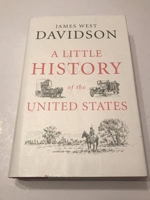 A Little History Of The United States James West Davidson Hardback Book 9780300181418 Ebay