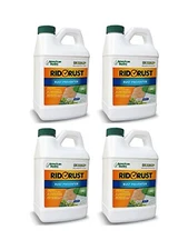 RR1 Rid O' Rust 2X Concentration Stain Preventer, 1/2 Gallon Bottle, Pack of 4