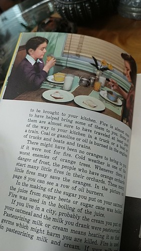 "FIRE". 1940s Basic Science Education Series children's book. Unitext - Picture 3 of 12