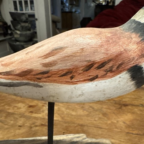 Decorative Sandpiper/Dunlin Carved Drift Wood Base - Picture 8 of 20