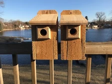 2 Pack Cedar Bluebird Bird House  3/4" THICK Cedar Birdhouse! W/ Predator Guard!