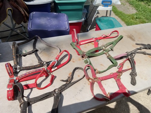 used horse Halters lot of 7