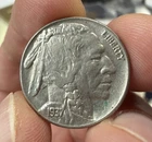 1937-P Buffalo Nickel Coin Higher Grade