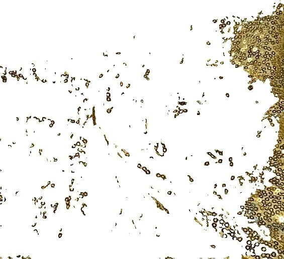 Tecidos de artesanato com Lantejoula Antigo/Vintage