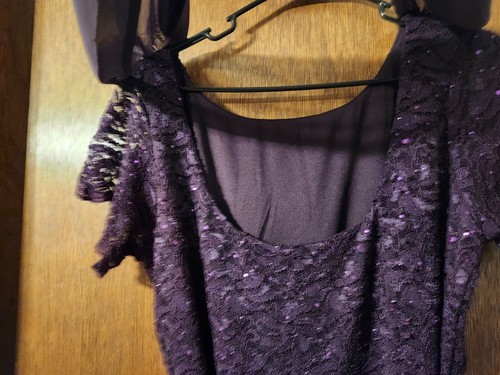 Gorgeous Evening Gown Eggplant Purple Embellished Sparkly Size 18W 2X Onyx Night - Picture 6 of 9