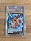 Pokémon TCG Crown Zenith Eevee v Holo Ultra Rare Card 108/159