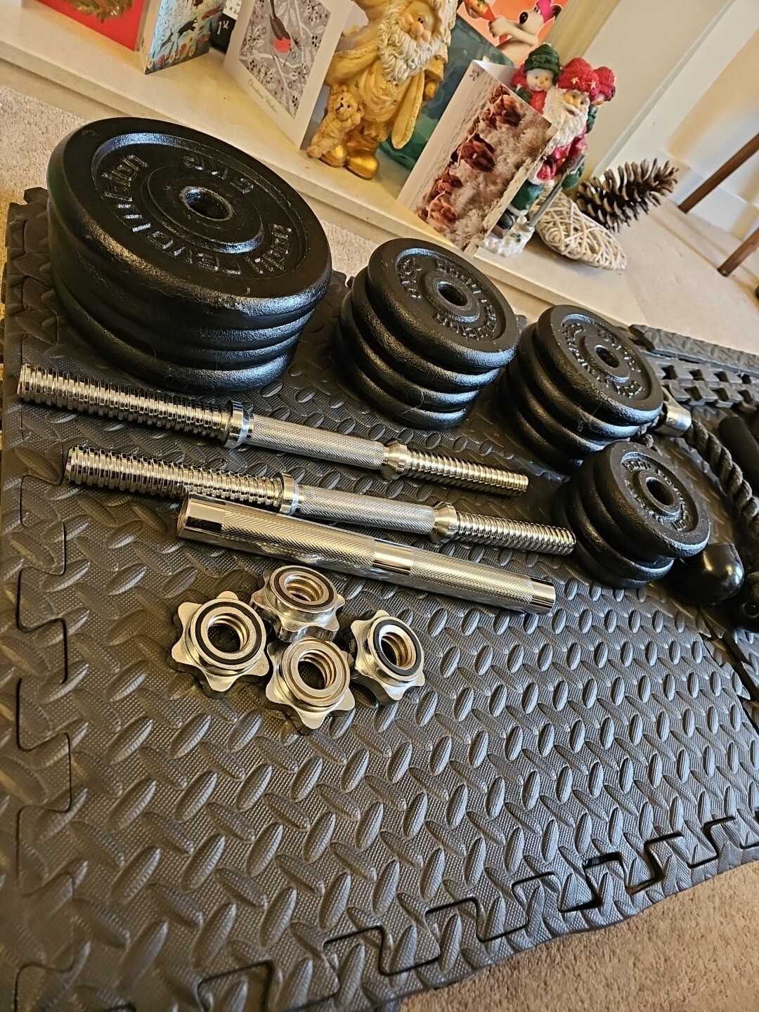 Home Gym Bench With Starter Kit (Including Weights,Bands,Dumbbells And