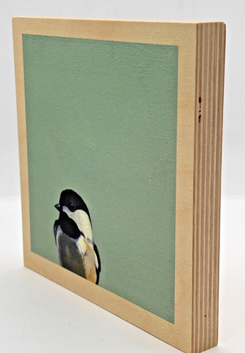 The Mincing Mockingbird Ali su Legno Chicadee 6x6 Firmato Legno di Betulla Matt Adrian - Foto 10 di 12