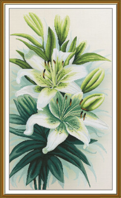 Counted cross stitch kit DIY unprinted canvas White lilies needlecraft Aida 6286
