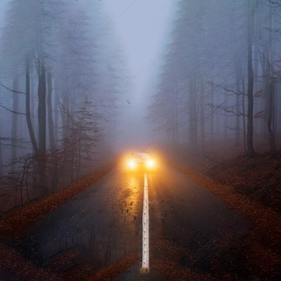 Luz de conducción antiniebla LED amarillo dorado H11 para Toyota Corolla LE 2009-16 1,8 L 3000 K Foto 4 de 4