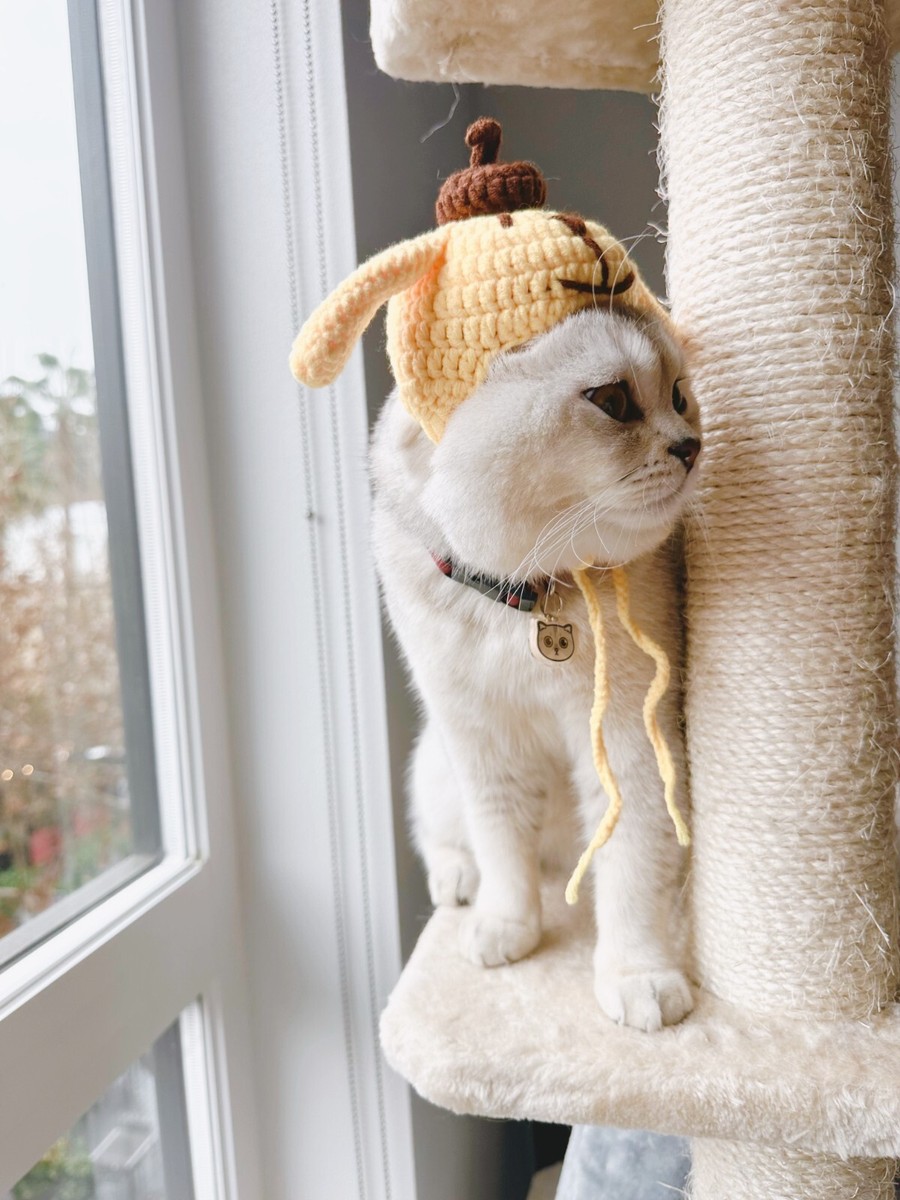 Pompompurin crochet hats for cats and small dogs/ knit cat hat | eBay