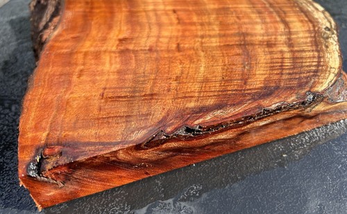 Hawaiian Curly Koa Board #12106 - Bild 12 von 12