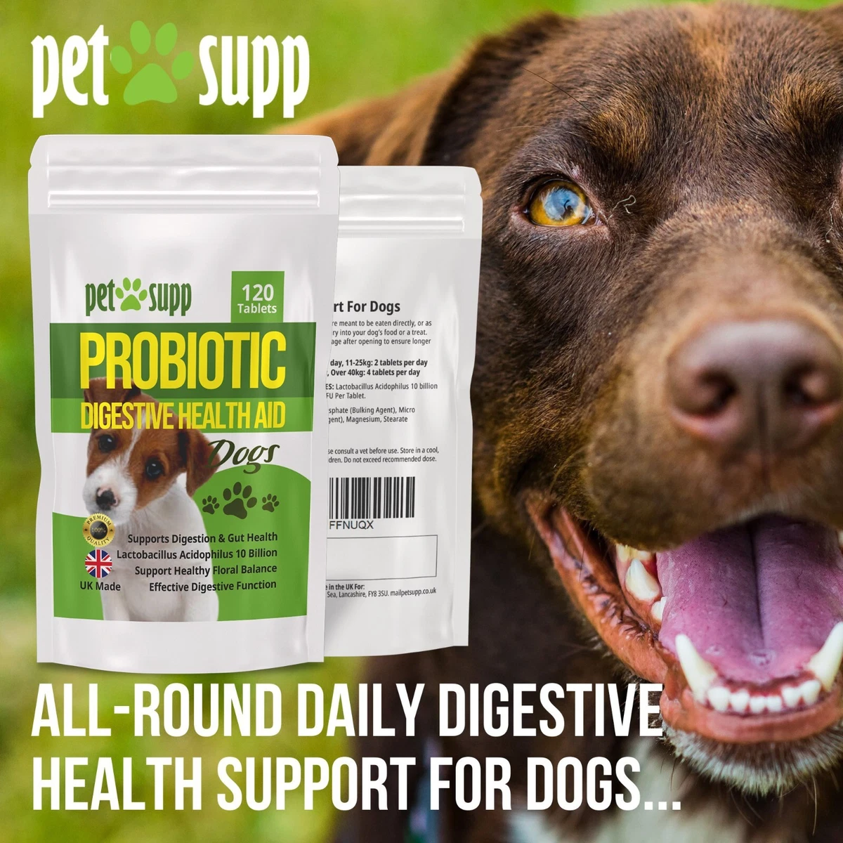 Dog hot sale bulking supplements