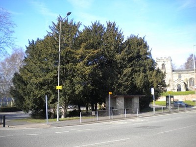 Foto 6x4 Spread Eagle Bushaltestelle, Main Street, Etwall Die Haupthaltestelle in der c2018