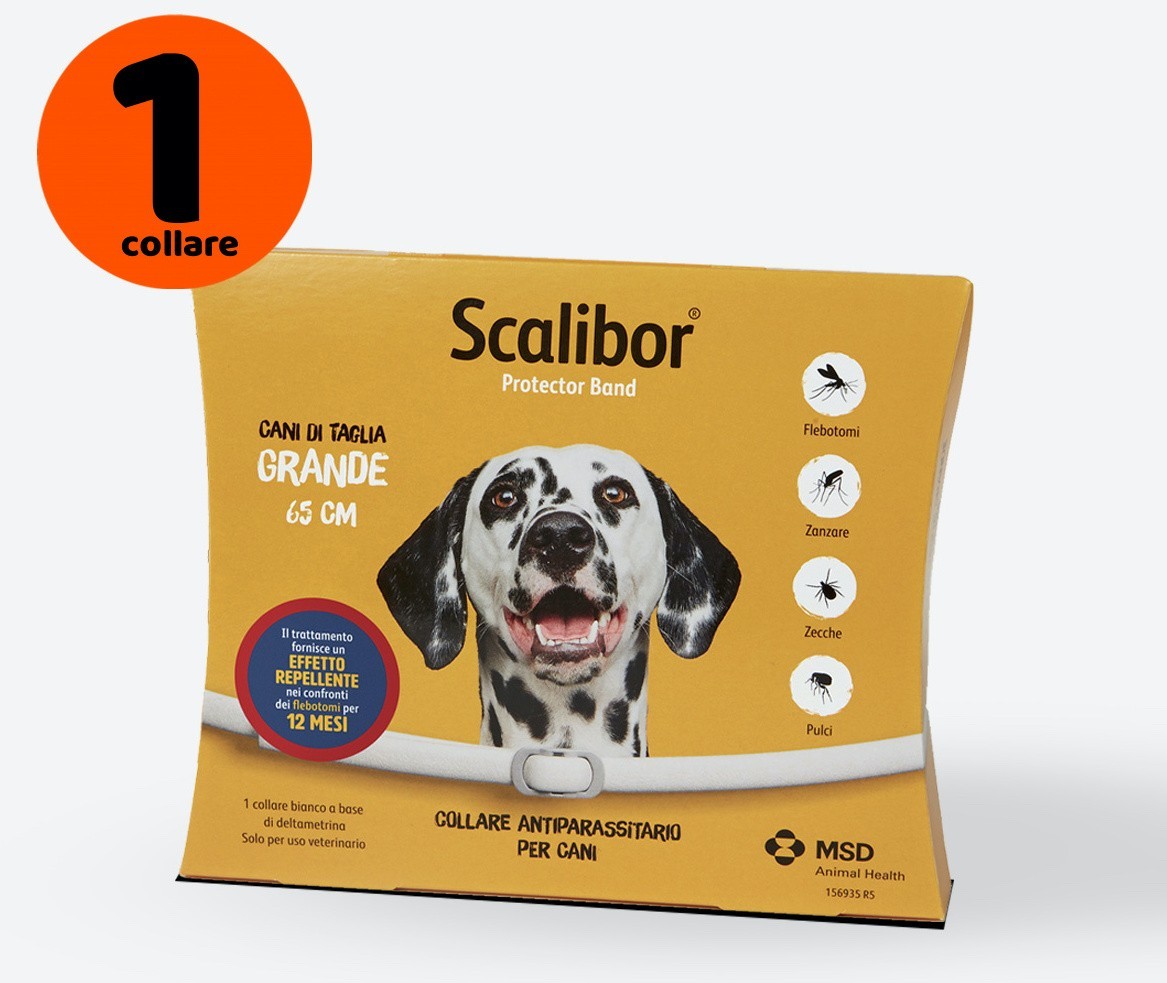 Msd SCALIBOR  65 cm Collare ANTIPARASSITARIO per CANI di Taglia Grande CANE: 3 COLLARI/Bianco/L/Oltre 10 kg/Adulto img
