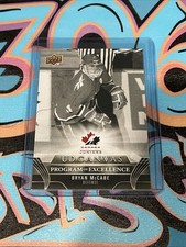 Bryan McCabe Black UD Canvas Program Of Excellence 2023-24 UD Series 2 (DJL1)