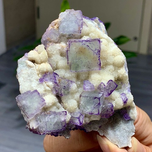 225G Natural Púrpura "Código QR" Racimo de Fluorita Cristal Mineral Espécimen/Guizhou - Imagen 23 de 23
