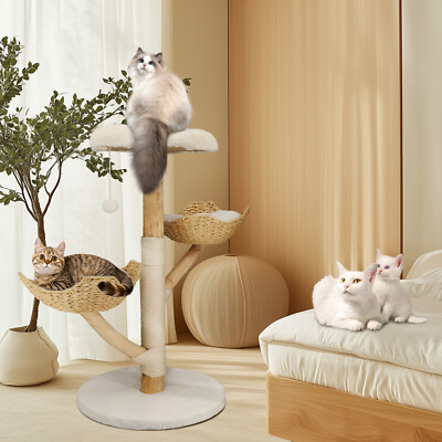 BingoPaw Modern Cat Tree for Small Cats Real Wood Cat Tower with
