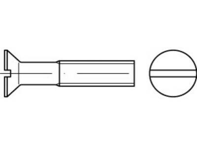 100 x Senkschrauben mit Schlitz ISO 2009 A 4 M 10 x 45 A 4 VES, CAB FASTENING