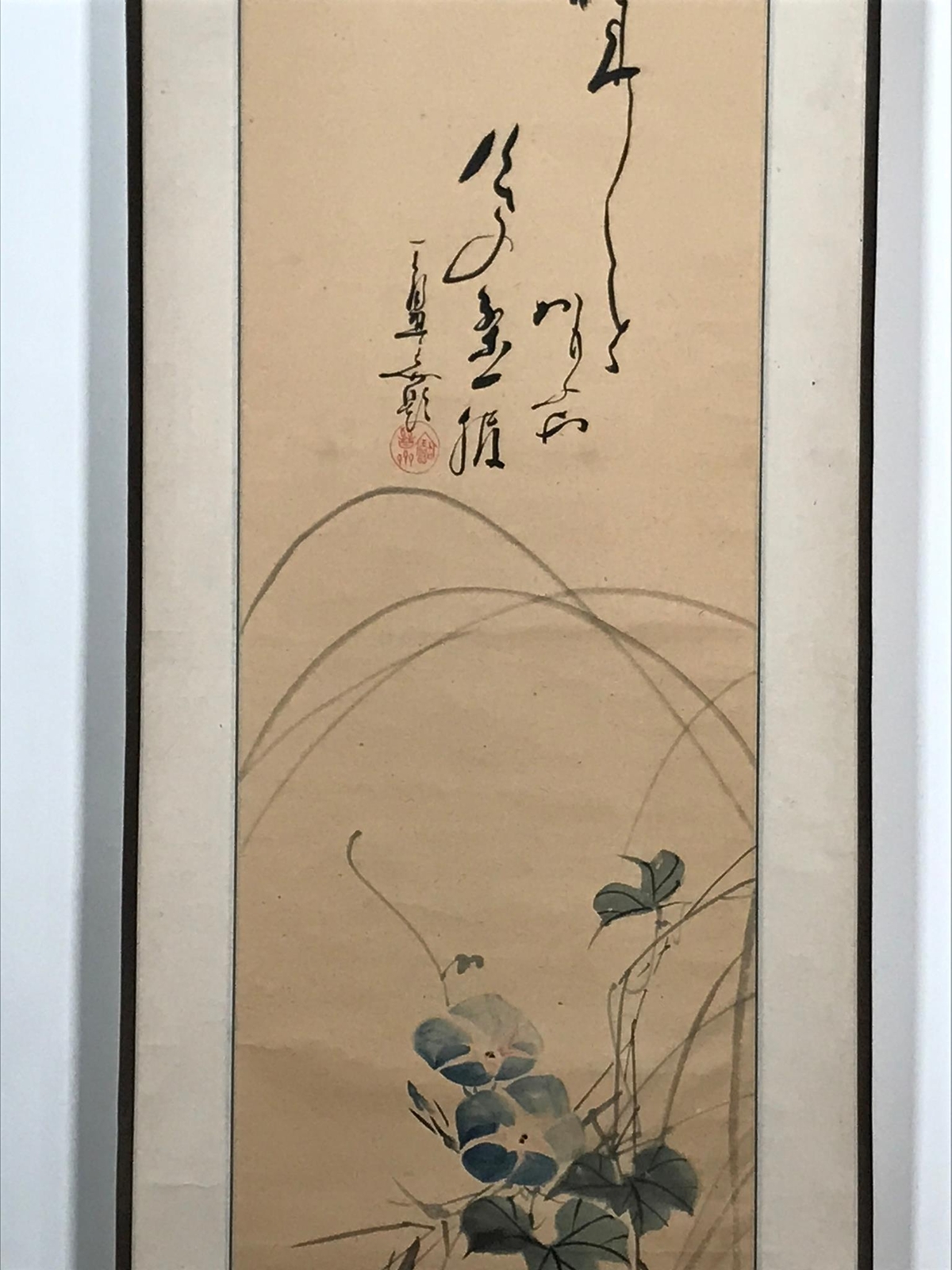 Picture 7 of 12