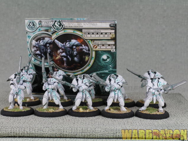 30mm Warmchine WDS painted Retribution of Scyrah Dawnguard