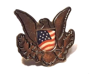 Vintage USA FLAG Crest EAGLE Wings METAL ~ Ships Free