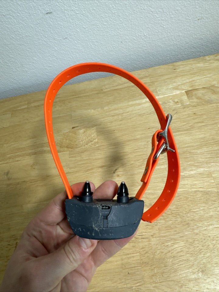 SportDOG Replacement Receiver Collar SDT5416292 eBay