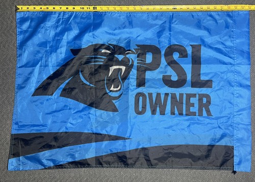 Carolina Panthers Neck Pillow and 35x23 Panthers Flag - Picture 9 of 11
