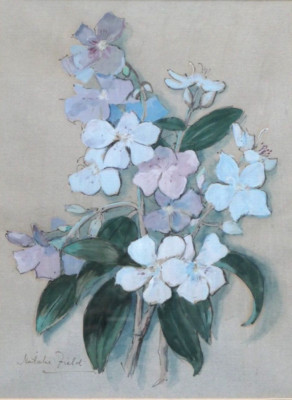 Natalie Field (1898-1977) Watercolour. Still Life. Tibouchina. 1974