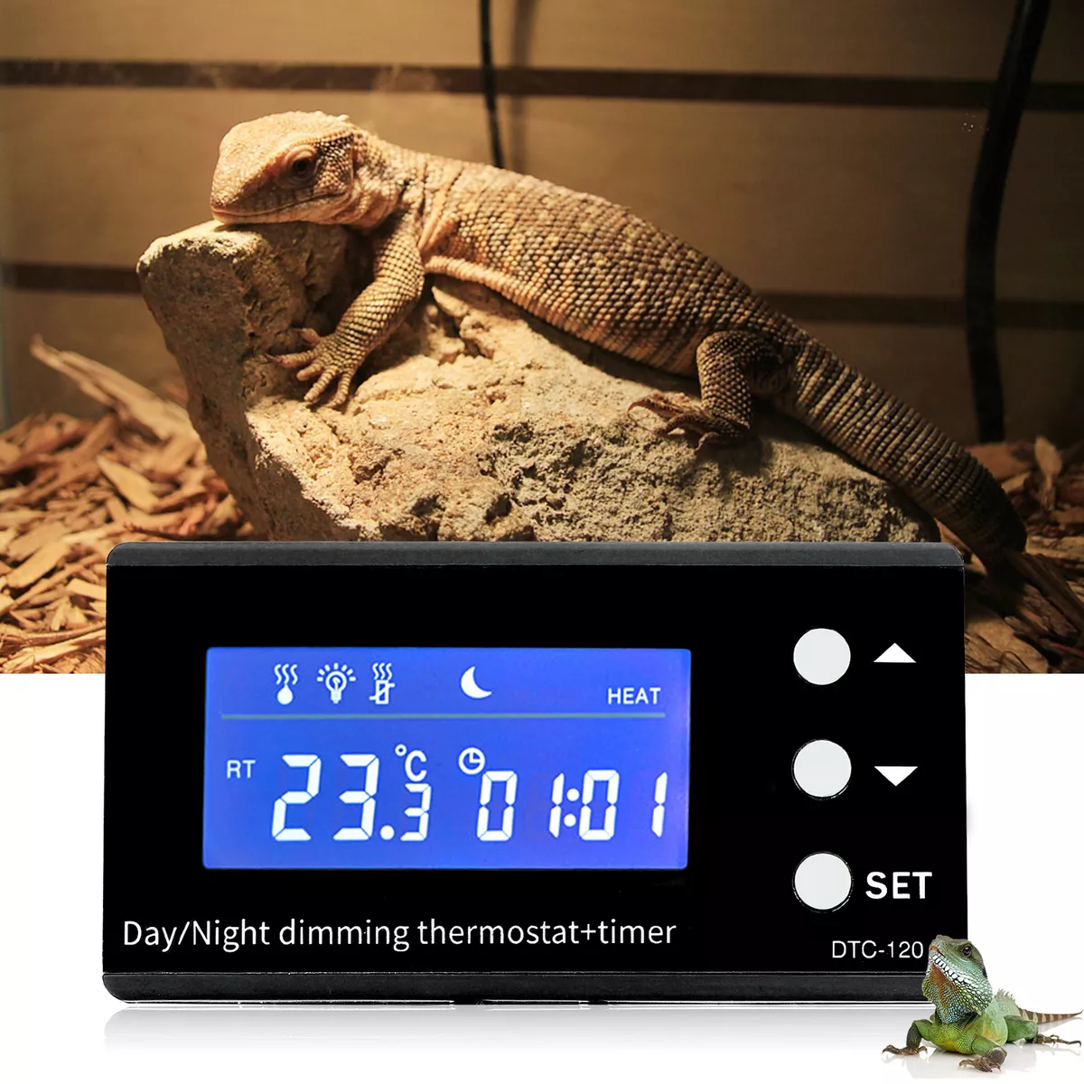 DIGITEN Temperature Controller with Timer Reptile Thermostat Timer Day