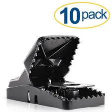 Large Powerful Rat Traps (10 Pack) - Kills Instantly with Powerful Steel Spring