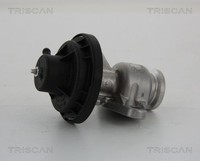 Triscan Agr-Ventil 8813 29034 FüR Seat Skoda Vw