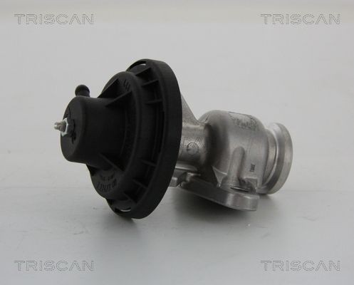 Triscan Agr-Ventil 8813 29034 FüR Seat Skoda Vw-image