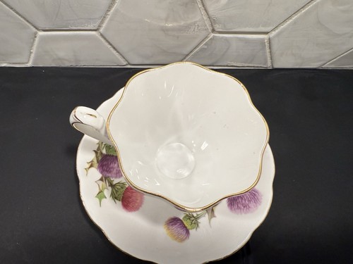 QUEEN ANNE TEA CUP & SAUCER - "DUNDEE THISTLE" FINE BONE CHINA Vintage - Picture 2 of 8