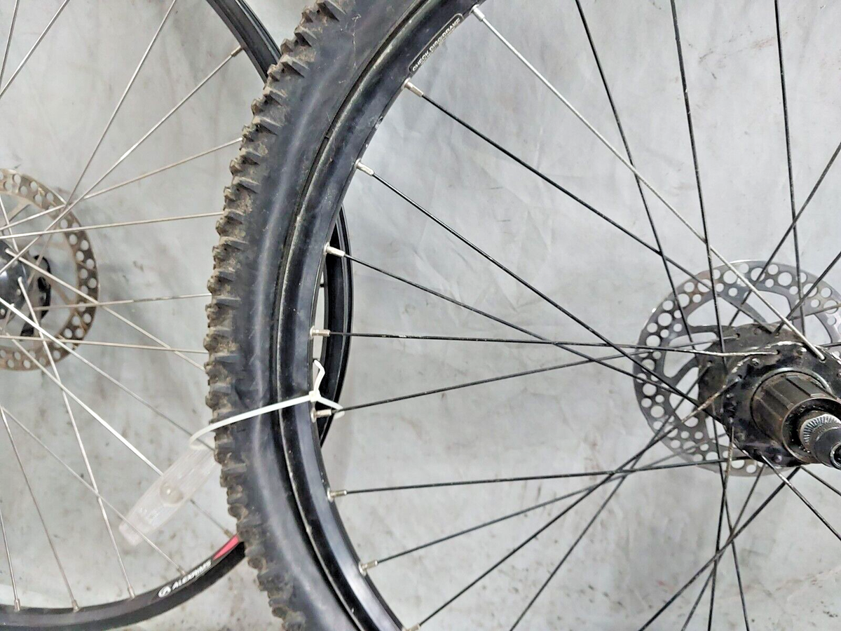 WTB Speed Disc/Alexrims Ace 26