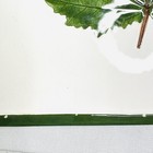 Bild 7 von 10