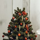 Foto 12 di 12