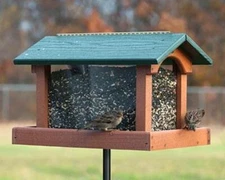 Woodlink Recycled Plastic Premier Hopper Bird Feeder