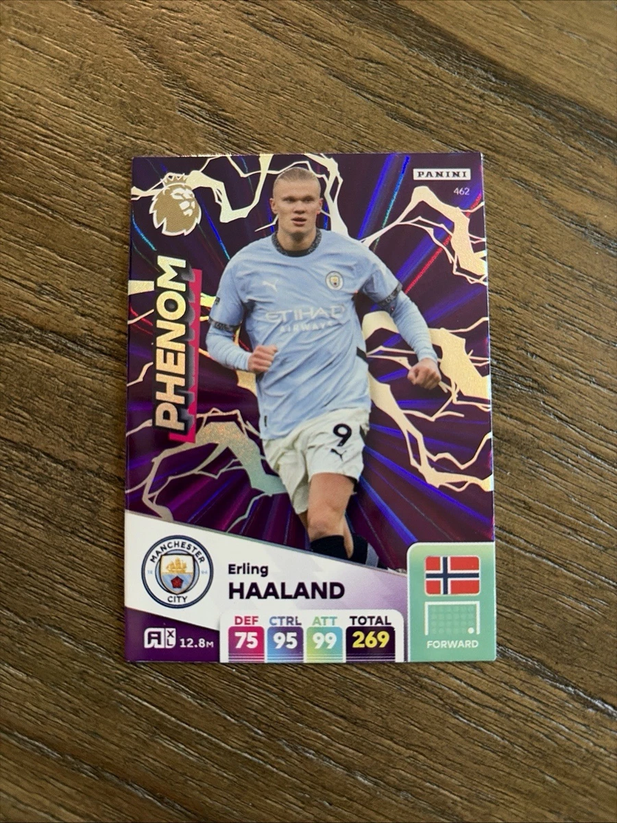 Panini Adrenalyn XL Premier League 2025 Erling Haaland #462 for
