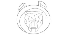 Genuine Jaguar Center Cap C2c30080