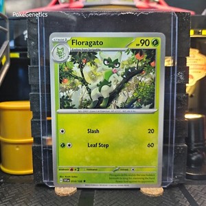 Floragato Pokemon Card | eBay Floragato Pokemon Card | eBay