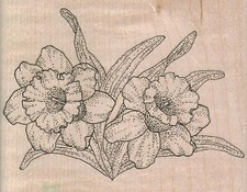 Daffodils 3 1/2 x 2 3/4" Rubber Stamp, Flower Stamp, Plant Stamp